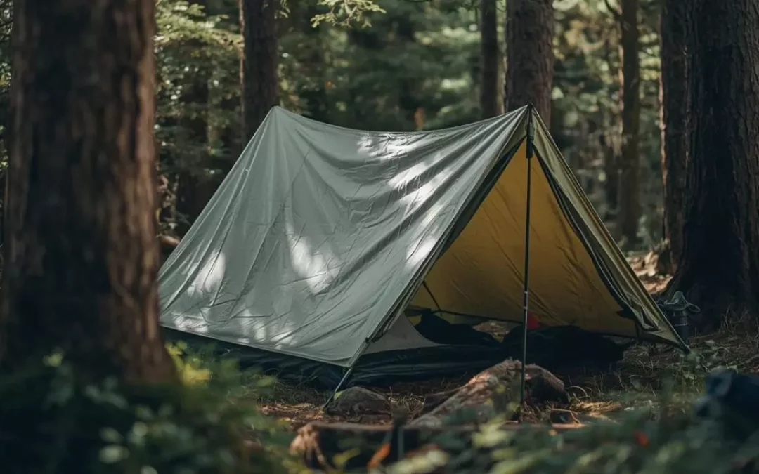 Tarp ou tente : quel abri choisir pour le bushcraft