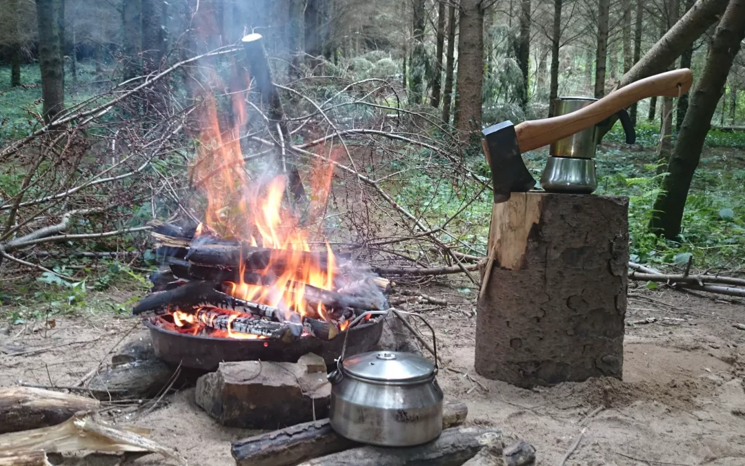 Stage de survie en Bretagne : Comment maîtriser le feu et l&rsquo;humidité en forêt ?