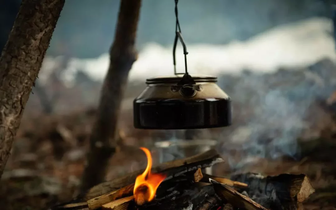 Trouver et purifier de l’eau en forêt : le guide pratique