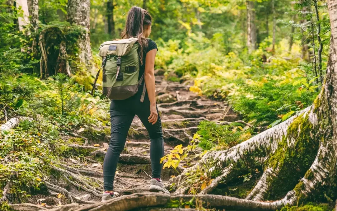 Sac à dos de bushcraft : L&rsquo;ingénierie du portage et l&rsquo;organisation de survie